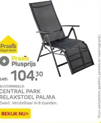 Praxis Central park relaxstoel palma aanbieding