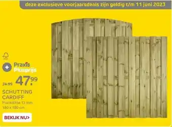 Praxis Schutting cardiff aanbieding