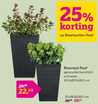 Leen Bakker Bloempotten Raaf aanbieding