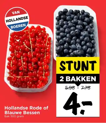 Vomar Voordeelmarkt Hollandse Rode of Blauwe Bessen aanbieding