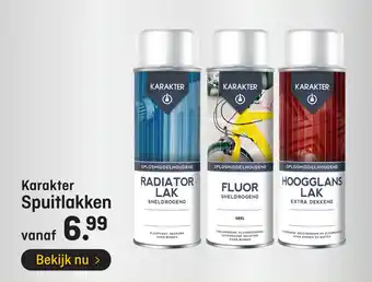 Hubo Karakter Spuitlakken aanbieding