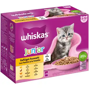 Zooplus Gemengd pakket whiskas junior maaltijdzakjes 12 x 85 g kattenvoer - gevogelte-selectie in gelei aanbieding