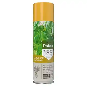 Praxis Pokon bladglans 250ml aanbieding