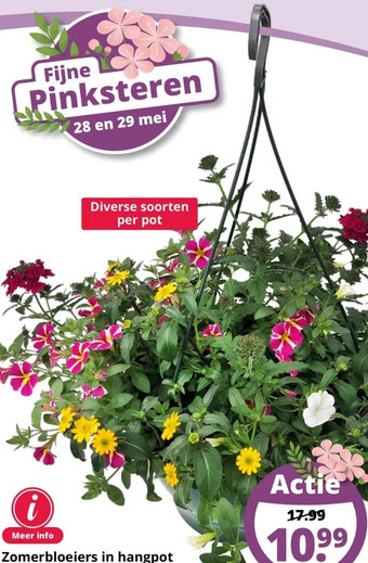GroenRijk Zomerbloeiers in hangpot aanbieding