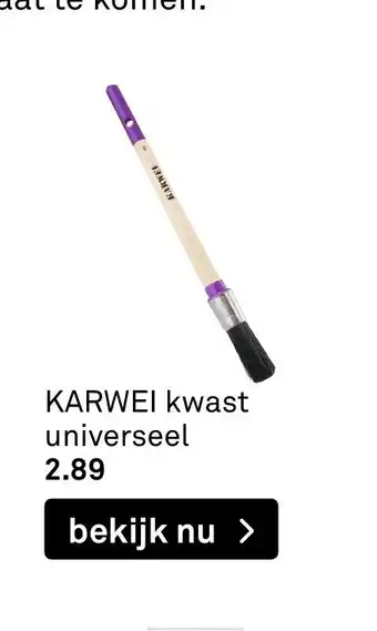 Karwei Kwast Universeel aanbieding