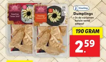 Lidl Dumplings 190 GRAM aanbieding