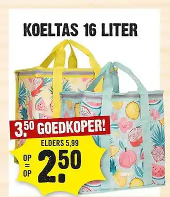 Dirck 3 Koeltas 16 liter aanbieding