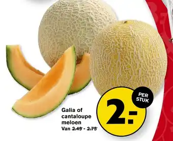 Hoogvliet Galia of cantaloupe meloen aanbieding