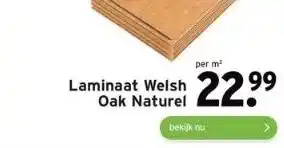 GAMMA Laminaat welsh oak natural aanbieding