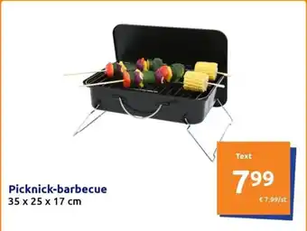 Action Picknick-barbecue 35 x 25 x 17 cm aanbieding