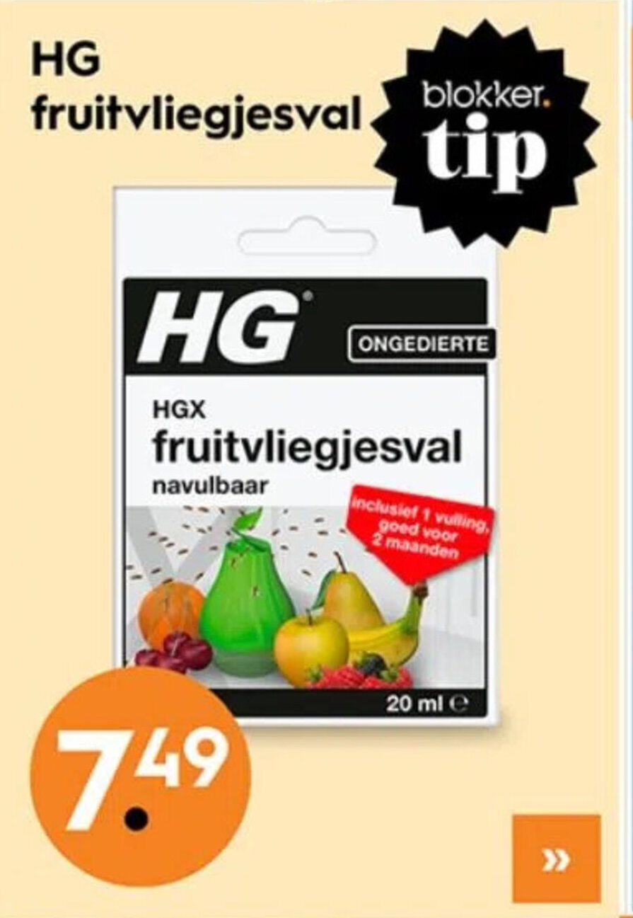 Blokker Hg fruitvliegjesval aanbieding