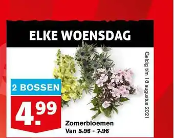 Hoogvliet Zomerbloemen aanbieding