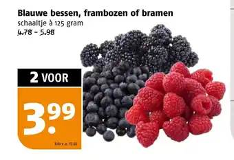 Poiesz Blauwe bessen, frambozen of bramen schaaltje à 125 gram aanbieding