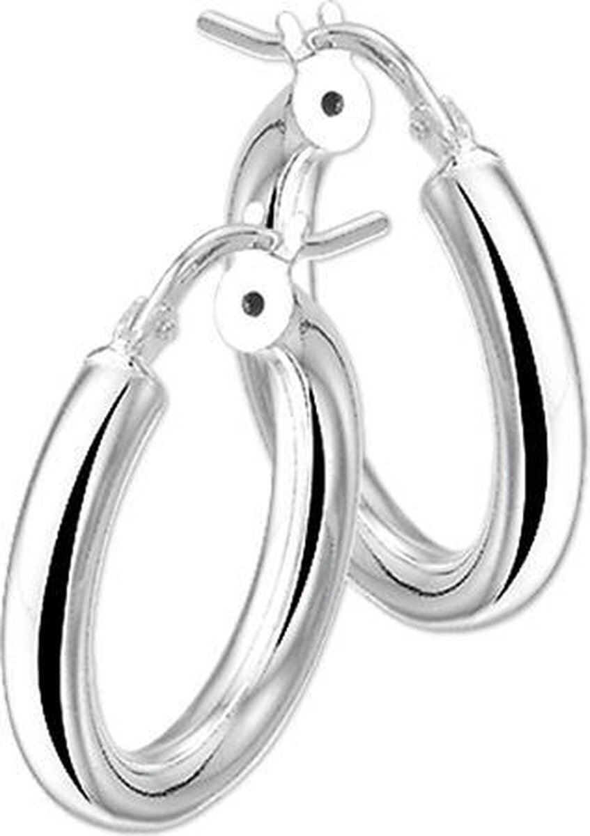 Bol.com The jewelry collection oorringen ronde buis - zilver aanbieding
