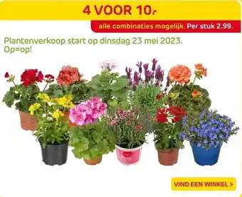 Praxis Diverse bloemen aanbieding