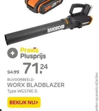 Praxis Worx bladblazer aanbieding