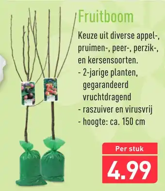 ALDI |Fruitboom 150cm aanbieding