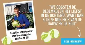 ALDI We oogsten de bloemkolen het liefst in de ochtend, want dan zijn ze nog fris van de dauw en de kou aanbieding