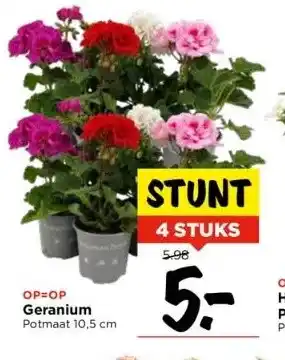 Vomar Voordeelmarkt Op=op geranium potmaat 10,5 cm aanbieding