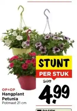 Vomar Voordeelmarkt Op=op hangplant petunia potmaat 21 cm aanbieding