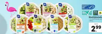 Lidl Maaltijdsalades 450g aanbieding