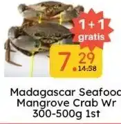 Ochama Madagascar seafood mangrove crab wr 300-500g 1st aanbieding