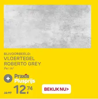 Praxis Vloertegel Roberto Grey aanbieding