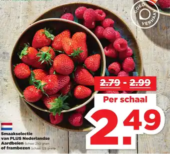 PLUS Smaakselectie van PLUS Nederlandse Aardbeien Schaal 250 gram of frambozen Schaal 125 gram aanbieding