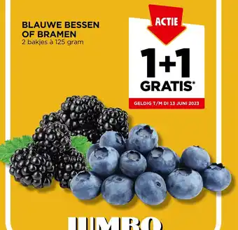 Jumbo BLAUWE BESSEN OF BRAMEN 2 bakjes à 125 gram aanbieding