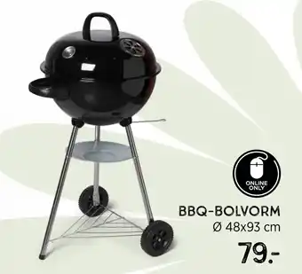 Xenos Bbq-Bolvorm 48x93 cm aanbieding