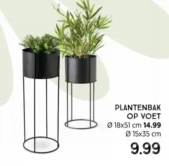 Xenos Plantenbak Op Voet 15x35 cm aanbieding