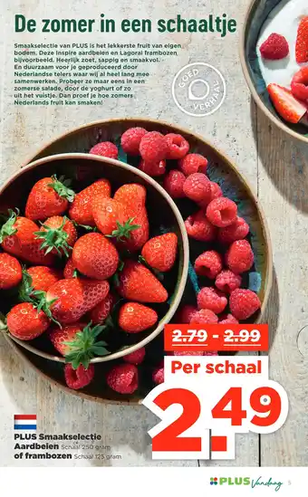 PLUS Plus smaakselectie aardbeien schaal 250 gram of frambozen schaal 125 gram aanbieding