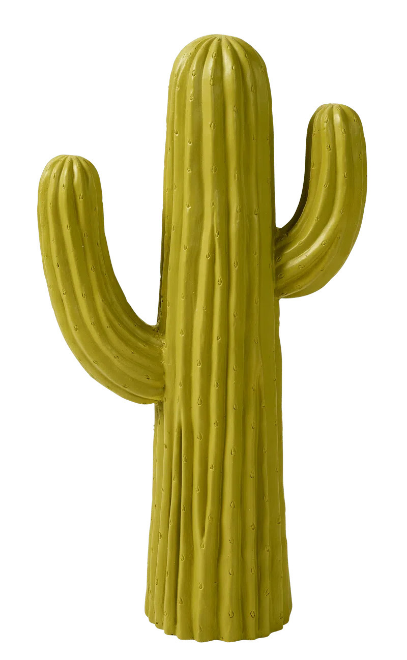 Casa Decoratieve cactus aanbieding