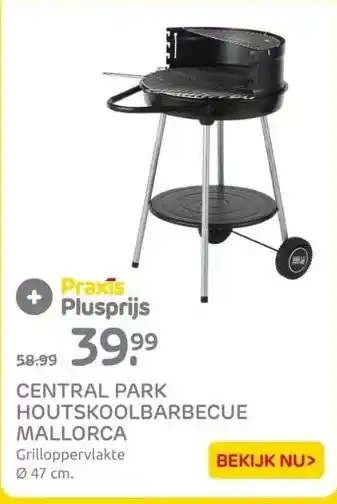 Praxis Central park houtskoolbarbecue mallorca aanbieding