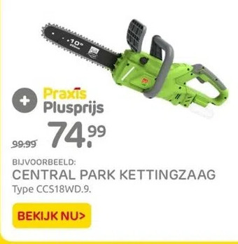 Praxis Central park kettingzaag aanbieding