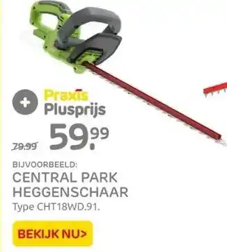 Praxis Central park heggenschaar aanbieding