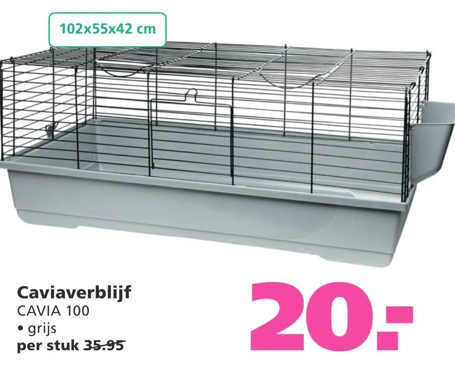Trap, Versierd Met Plaatjes En Planten. Kat Ligt Op Trappen Van De Gang Van De Woning Vector