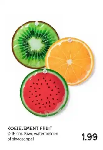 Xenos Koelelement fruit 16 Ø 16 cm. Kiwi, watermeloen of sinaasappel aanbieding