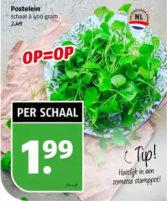 Poiesz Postelein aanbieding