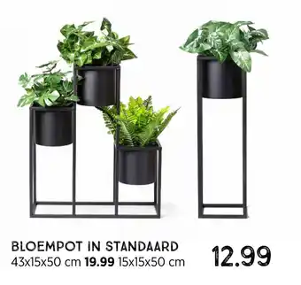 Xenos Bloempot In Standaard 15x15x50 cm aanbieding