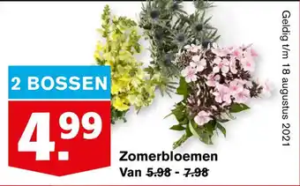 Hoogvliet Zomerbloemen aanbieding