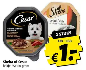 Boni Sheba of Cesar aanbieding