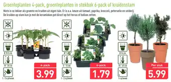 ALDI Groenteplanten 4-pack, groenteplanten in stekbak 6-pack of kruidenstam aanbieding