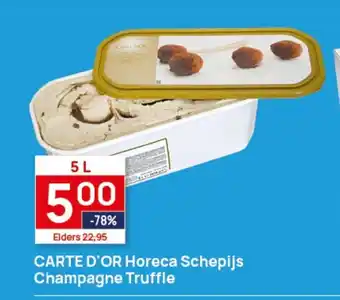 Dagwinkel CARTE D'OR Horeca Schepijs Champagne Truffle aanbieding