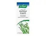 De Online Drogist A.vogel avena sativa (nacht)rust druppels 100ml aanbieding