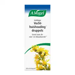 De Online Drogist A.vogel solidago vochthuishouding druppels 100ml aanbieding