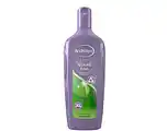 De Online Drogist Andrelon iedere dag shampoo xl 450ml aanbieding