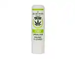 De Online Drogist Jacob hooy cbd plus lippenbalsem 1st aanbieding