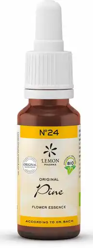De Online Drogist Bach no.24 pine 20ml aanbieding