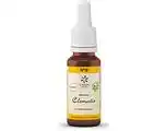 De Online Drogist Bach no.9 clematis 20ml aanbieding